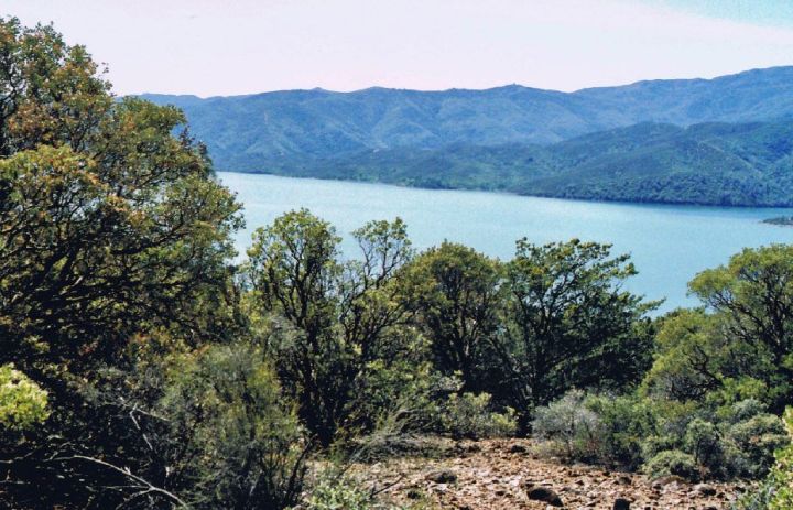 Reservoir Levels Rise Yet Overall Water Storage Stays Below Normal, Says Ministry