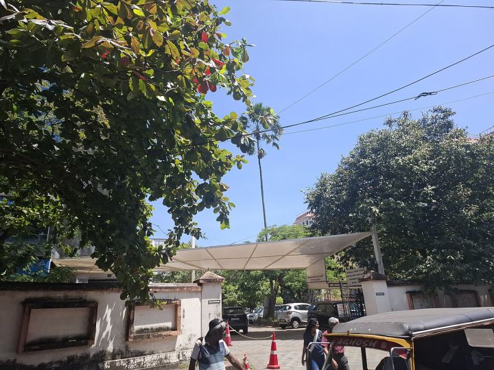 Kerala High Court Bars Bevco from Dismissing Temporary Sweepers