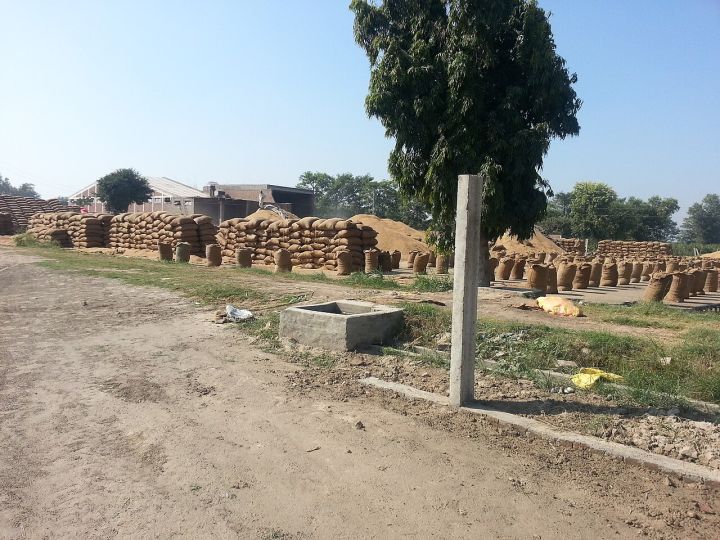 Punjab rice millers demand relaxed procurement norms, cite higher stock levels