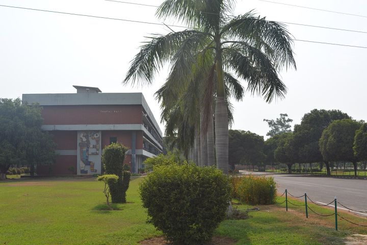 PAU Kisan Mela to Honor Innovative Farmers in Ludhiana