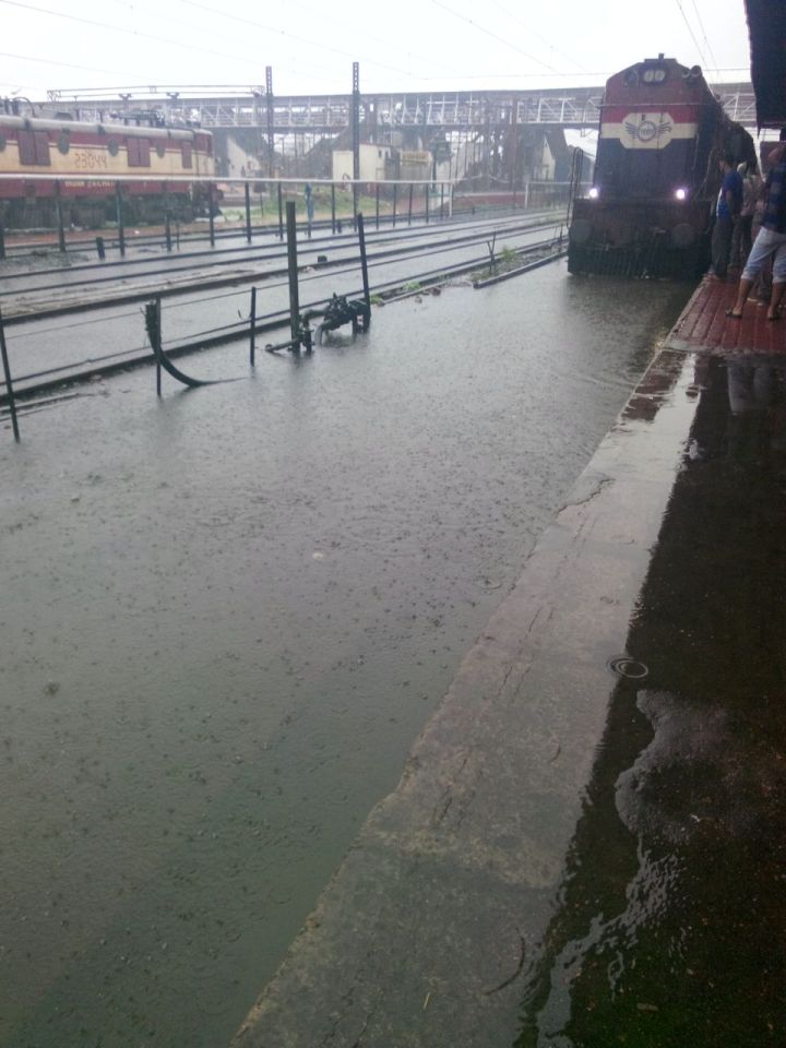 Monsoon Returns to Ujjain‑Gwalior Belt, Rain Alerts Issued for Several Districts
