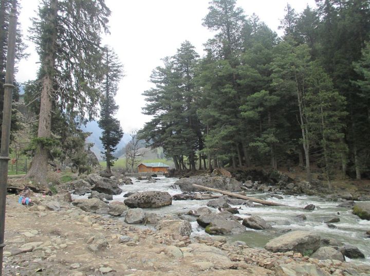 J&K Tourism Board Highlights Green Mobility as Boost to Tourism