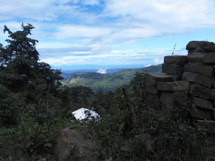 Nagaland’s Forest Cover Shrinks by 10% in Past Decade‑plus, Threatening Biodiversity