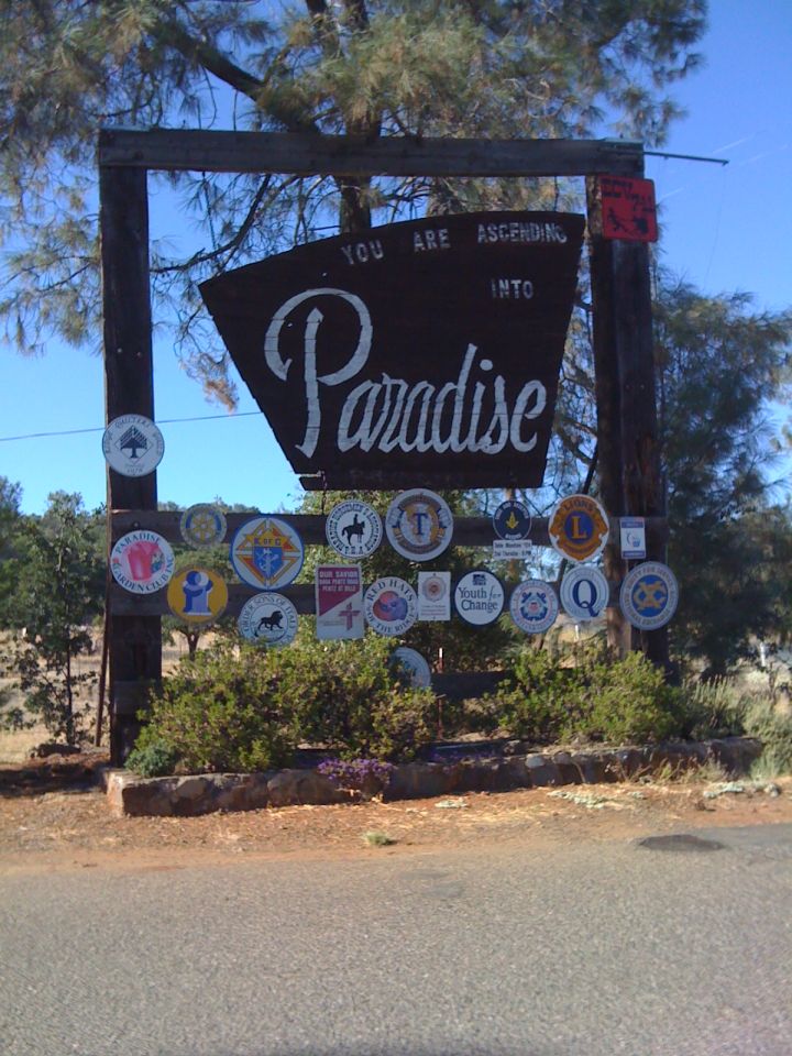 Hindi film 'The Paradise' earns Rs 2.10 crore on day two, growth stalls