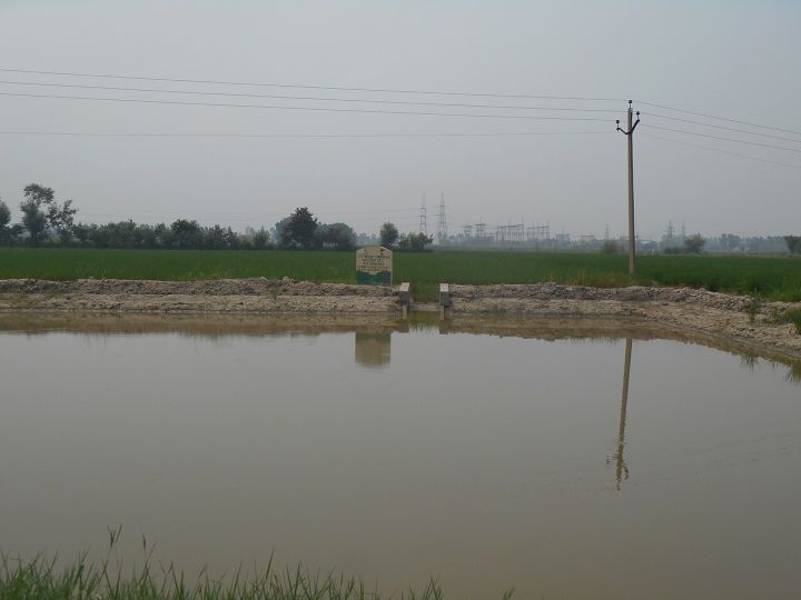 Punjab’s groundwater depth varies across districts despite drop in over‑exploited blocks