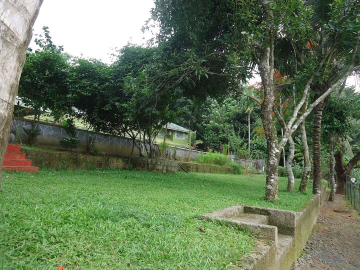 Kerala Ayurveda shares hover near yearly low, data shows