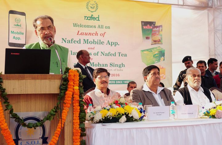 Millions of Tonnes of Onions Spoil in NAFED Warehouse, Nashik