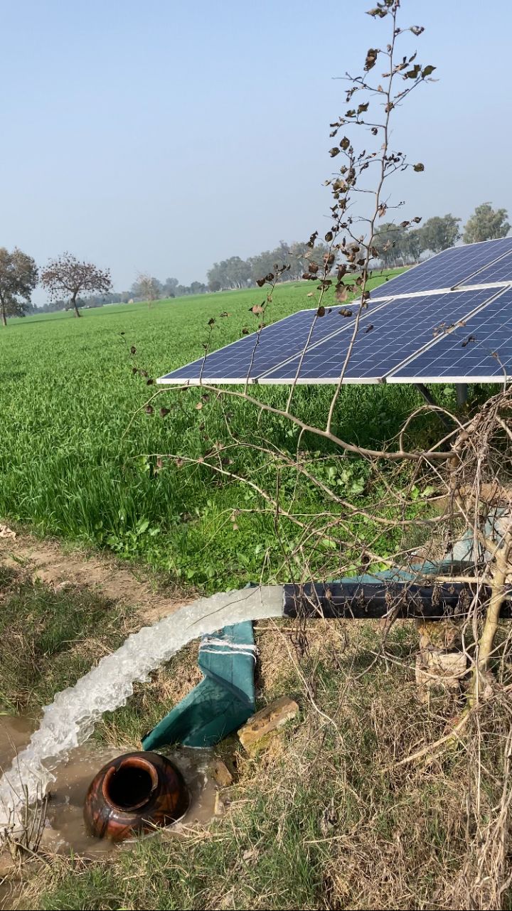 Punjab Forms New Multi-Stakeholder Agriculture Commission to Draft Farming Reforms