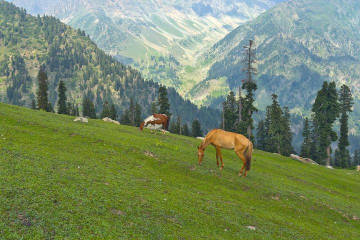 Jammu & Kashmir Completes DCHB Fieldwork, Begins Census Enumerator Training
