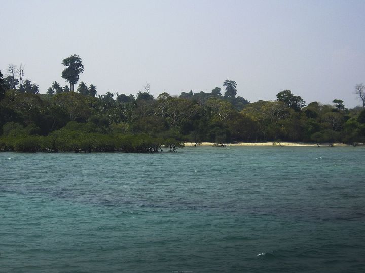 Magnitude 5.1 earthquake strikes near Andaman and Nicobar Islands
