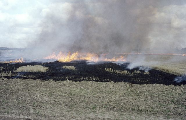 Punjab's Amritsar Commission Issues Notices to Four Officials Over 78 Stubble Burning Cases