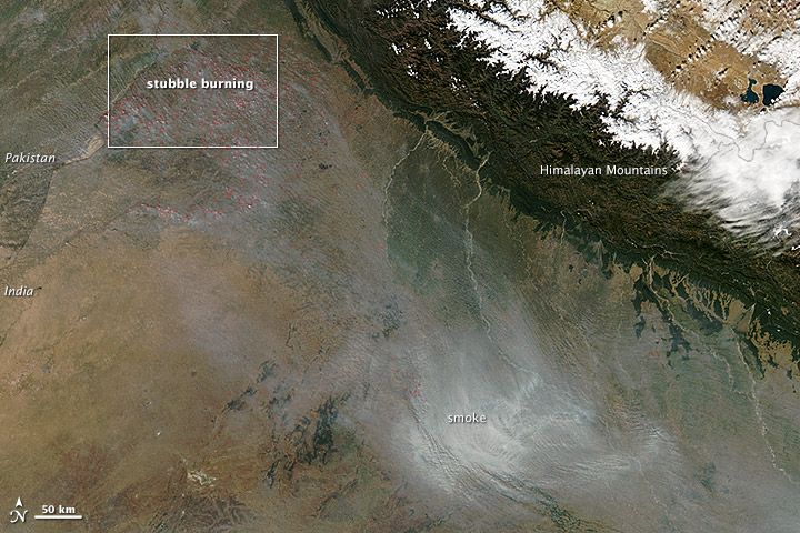 North India Sees 20% Decline in Stubble Burning, Uttar Pradesh Leads with 66% Drop