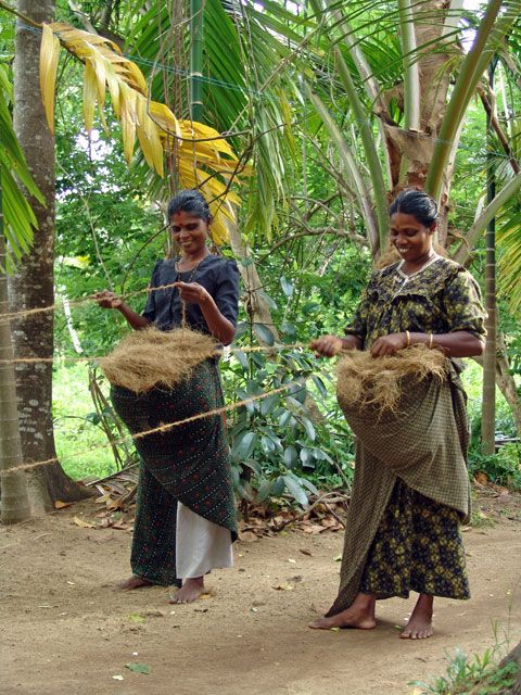 Telecomlead.com lists XLSMART, Surya Global Indonesia and Kerala Fibre Optic Network