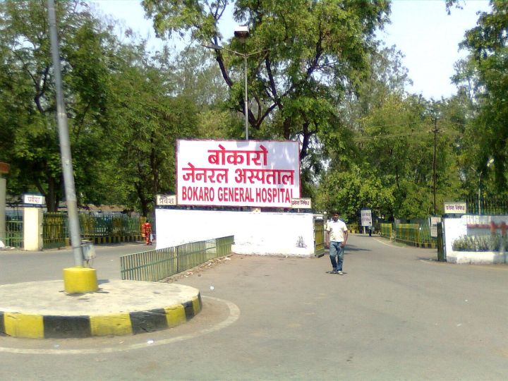 Jharkhand Hospital Dog Carries Newborn in Viral Video, Search Launched