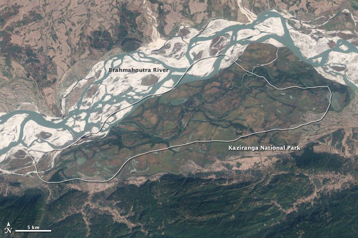Assam Boosts Wildlife Corridors and Forest Protection Before Tourist Season