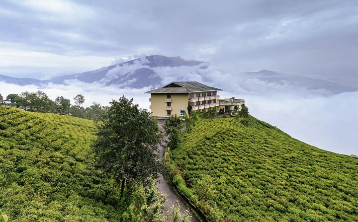 Sikkim’s Cherry Festival 2026 to Kick Off in Namchi on Nov 25