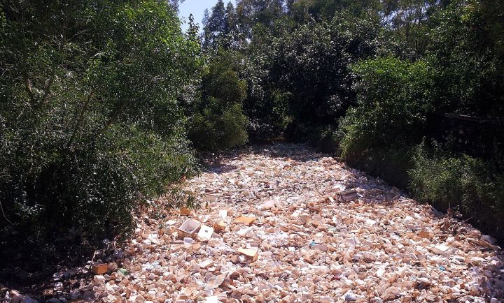Coastal Pollution Control Board to Desilt Mapusa Tributary in Goa