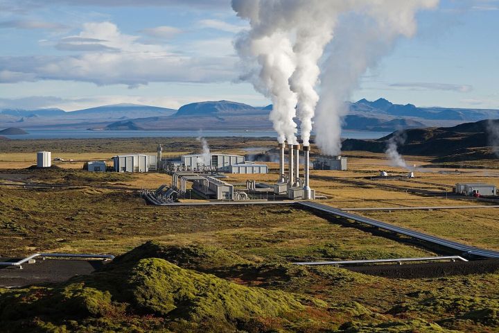 Six Haryana thermal power plants miss biomass co-firing targets, CPCB says