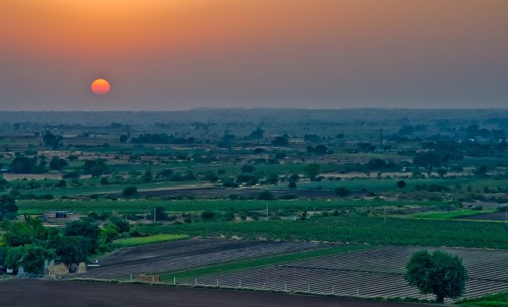 Gujarat Extends MSP Registration Deadline by 15 Days, Launches i‑Khedut Portal for Rabi Benefits