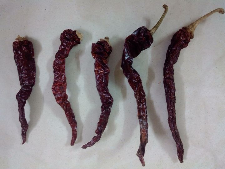Karnataka's Byadgi Chillies Gain Global Recognition