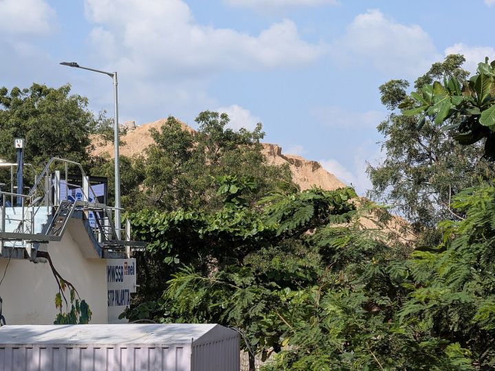 Telangana's Palapitta Bird Faces Threat as Habitat Shrinks