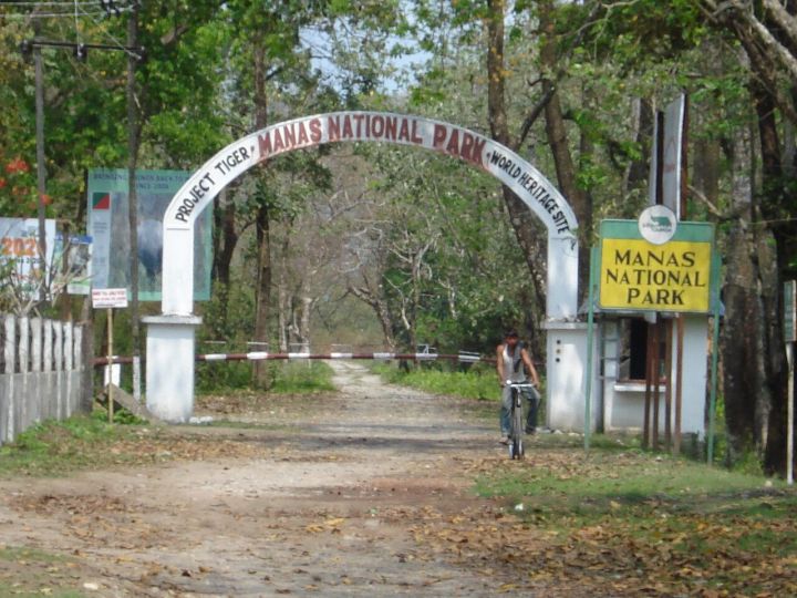 Manas National Park Reopens on Oct 2, Marking Start of Assam’s Wildlife Tourism Season