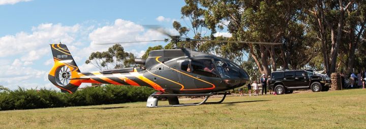 Rajasthan brothers spend Rs 5 lakh on helicopter to fly brides home