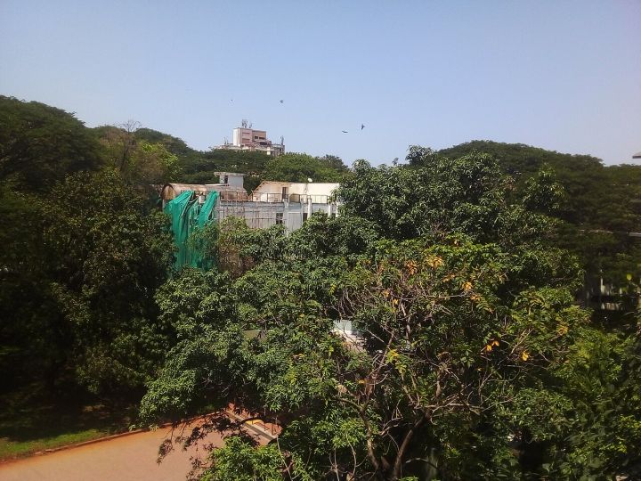 One Month After IIT Bombay Student’s Death, No Arrests; Protest Persists