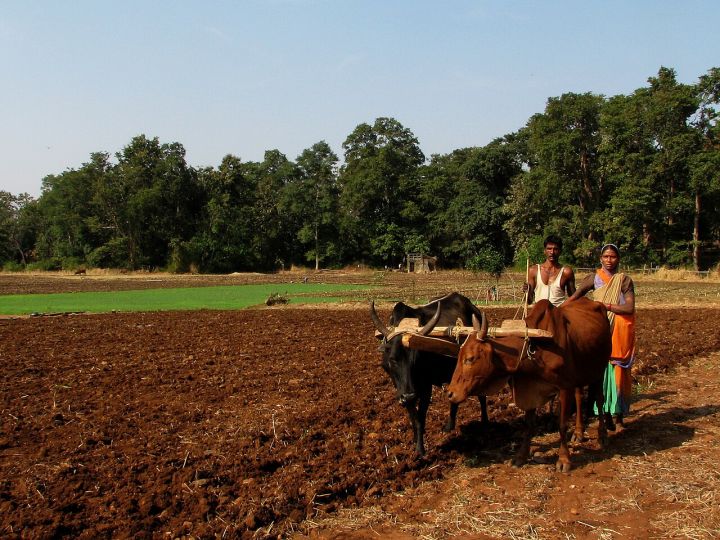 Maharashtra Farmers Struggle as Crop Income Fails to Cover Living and Education Costs