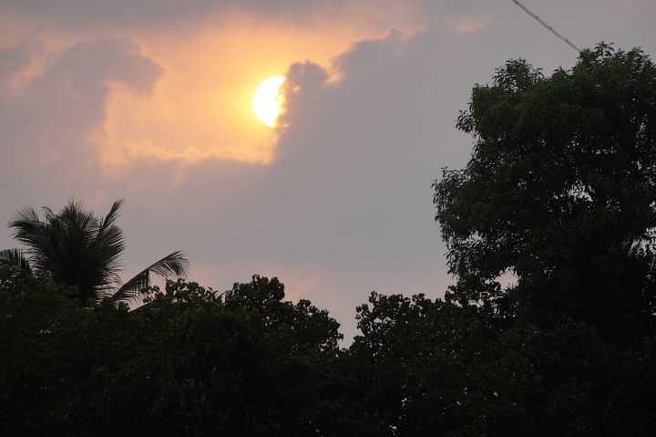 IMD Issues Yellow Alert for Thunderstorms in Kerala, Tamil Nadu; Rain Likely
