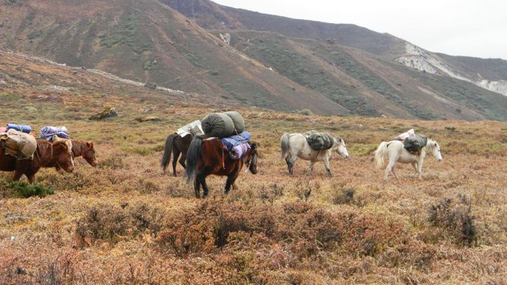 Sikkim Adventure Tourism Fest 2026: Activities, Dates, Packages Revealed