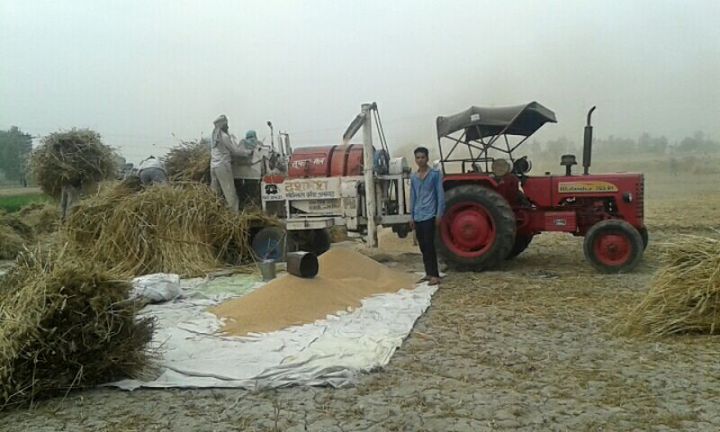 Haryana Permits Paddy Procurement Beyond Yield Limits After Verification