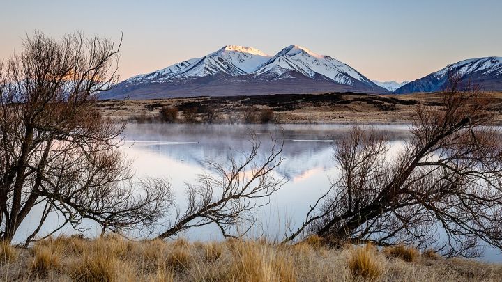 New Zealand Offers Apple Horticulture Expertise to Himachal Pradesh