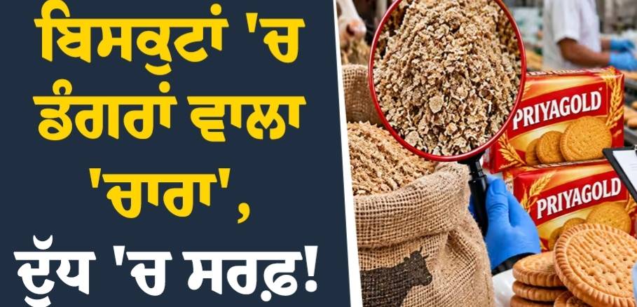 ਬਿਸਕੁਟਾਂ ''ਚ ਡੰਗਰਾਂ ਵਾਲਾ ''ਚਾਰਾ'', ਦੁੱਧ ''ਚ ਸਰਫ਼ ! FSSAI ਨੇ 3 ਕੰਪਨੀਆਂ ਖ਼ਿਲਾਫ਼ ਕੱਸਿਆ ਸ਼ਿਕੰਜਾ