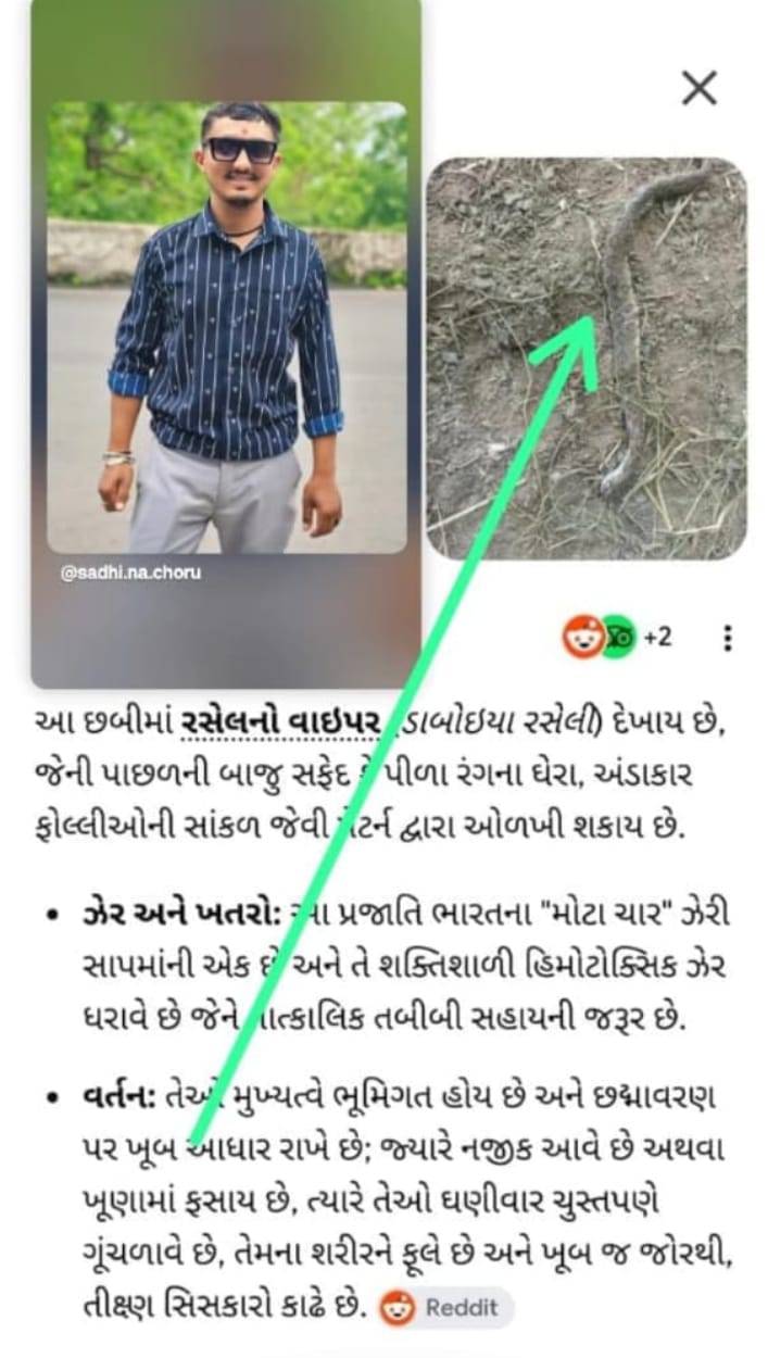 રશિયન વ્યાપર સાપની કટોકટીમાં ભાઈનું મૃત્યુ