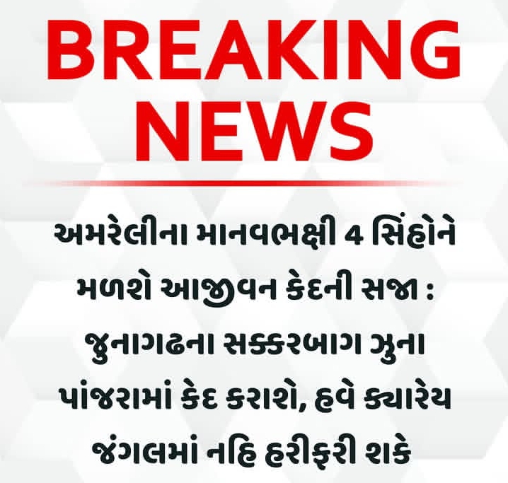 અમરેલીના માનવભક્ષી 4 સિંહોને મળશે આજીવન કેદની સજા: